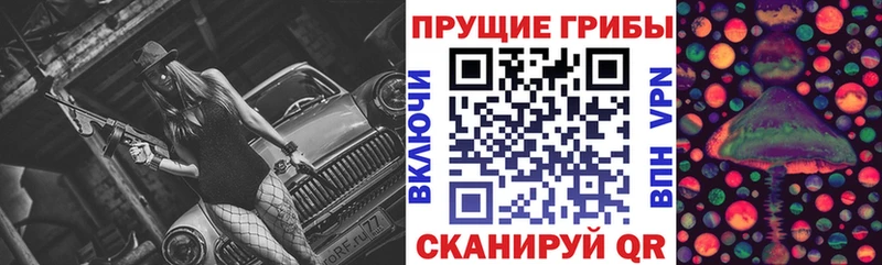 Купить где  Островной  Галлюциногенные грибы Psilocybine cubensis 